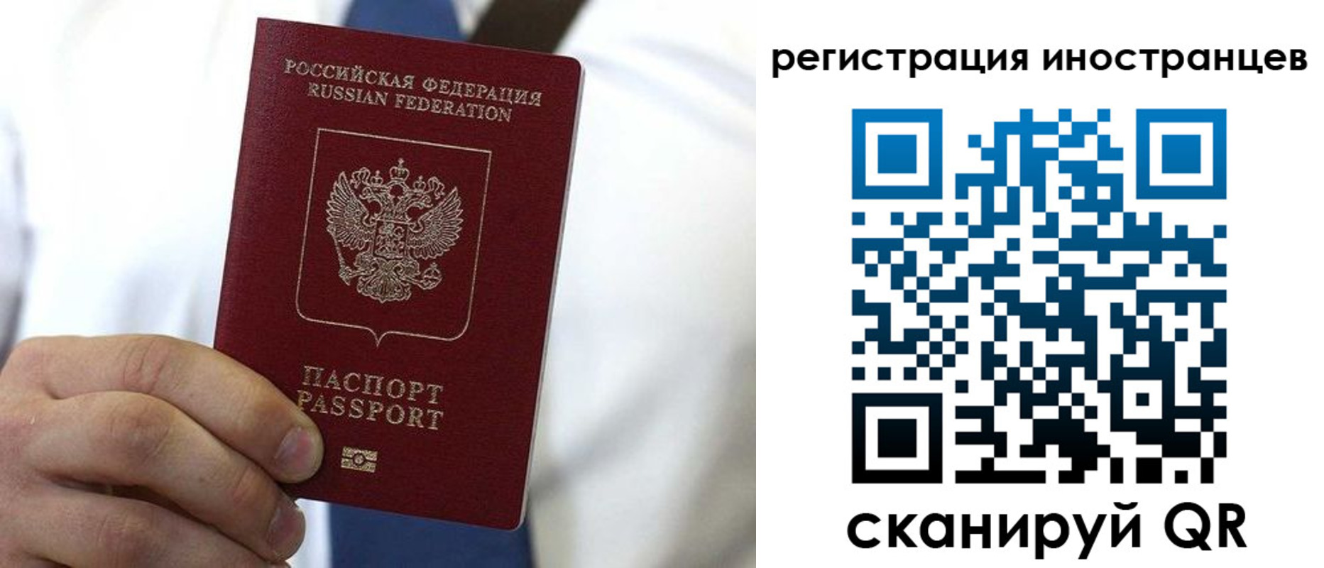 купить прописку в Светлогорске