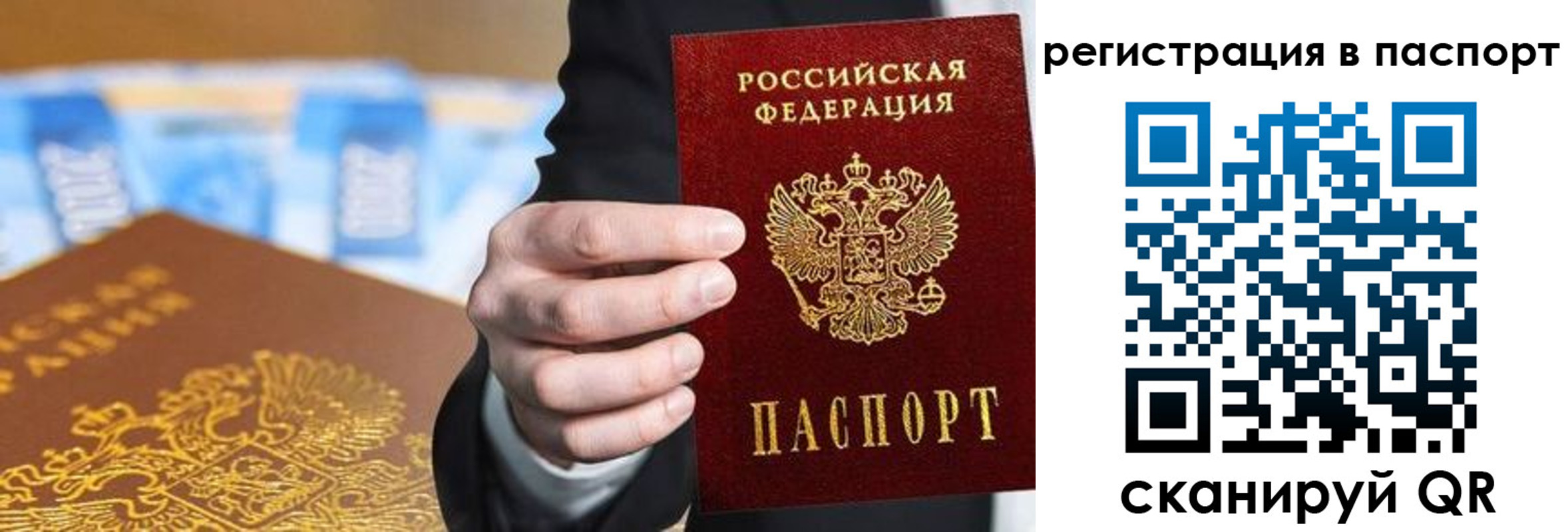 временная регистрация 2025 в Светлогорске